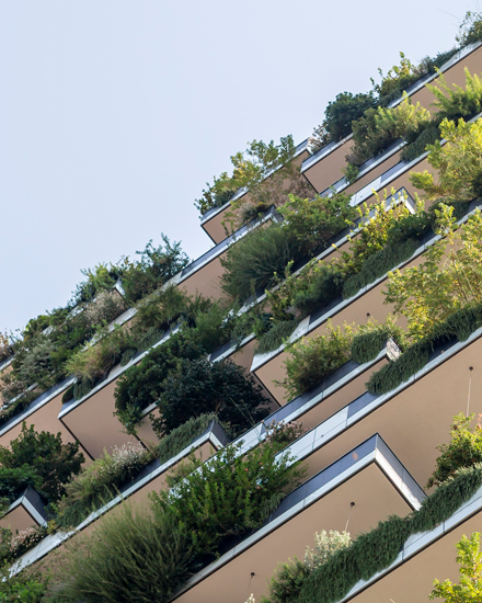 ¿Qué son las ciudades sustentables?